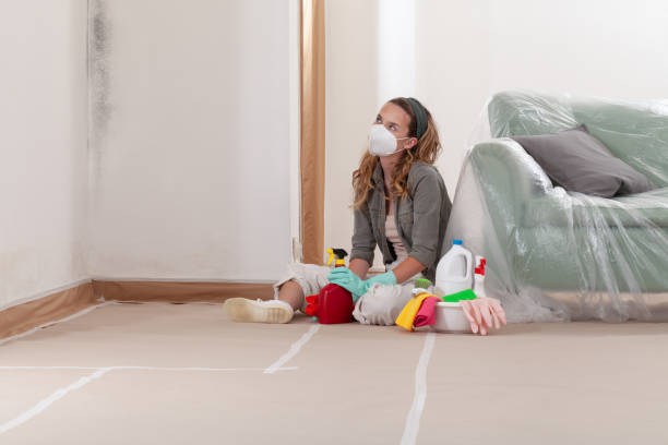 Reliable Mold Remediation contractor in South Elgin, IL by WQB Mold Removal